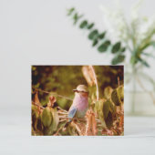 アビアリ ポストカード (スタンド正面)