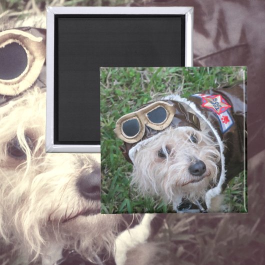 アビエーターの可愛い子犬ユニフォーム写真 マグネット