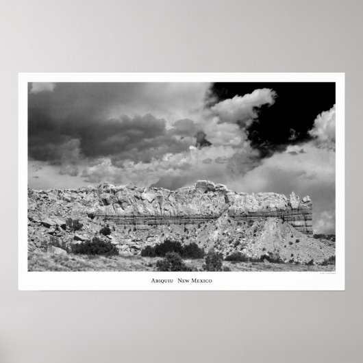 アビキウIIポスター ポスター (正面)