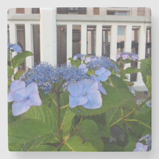 アビクトリアンイドランゲアアンドポーチ – マーサズヴィンヤード ストーンコースター (正面)