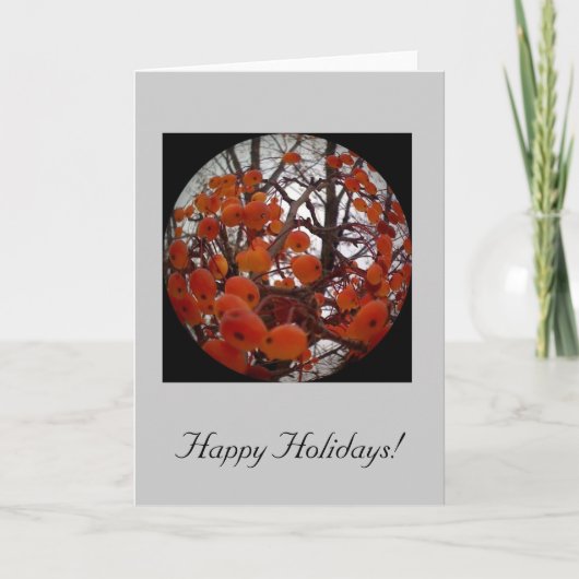 アビゲイルの冬の円形カード1 シーズンカード (正面)