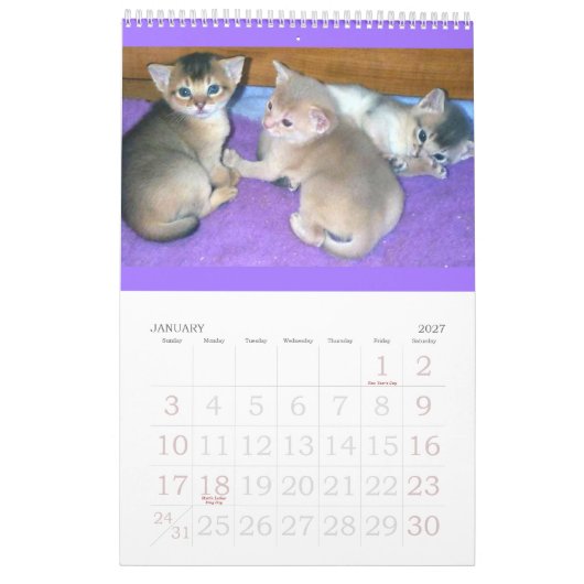 アビシニアの子ネコ及び猫のカレンダー カレンダー (1月 2027)