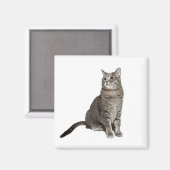 アビシニアキャットスクエアマグネット マグネット (正面/裏面)