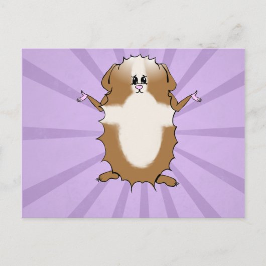 アビシニアギニアピグ漫画 空白の ポストカード (正面)