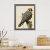 アビシニアランナー ポスター (キッチン)