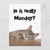 アビシニアンおもしろいブラウン猫が月ミーム嫌い ポストカード (正面)