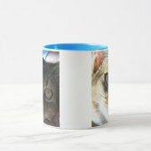 アビシニアンブルーの雄猫 マグカップ (中央)