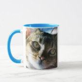 アビシニアンブルーの雄猫 マグカップ (左)