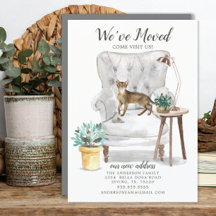 アビシニアン猫の動きのお知らせ 案内状