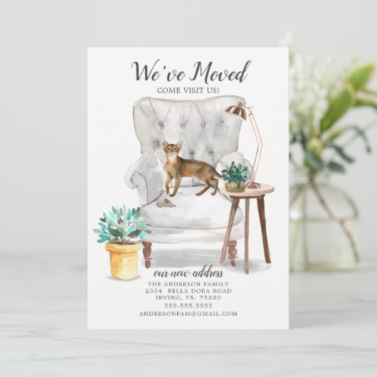 アビシニアン猫の動きのお知らせ 案内状 (スタンド正面)