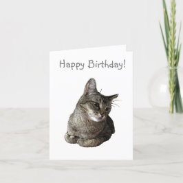 アビシニアン猫の誕生日カード サンキューカード