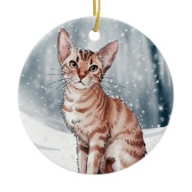 アビシニアン猫サークルクリスマスクリスマスオーナメント
