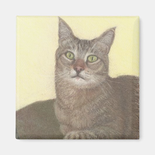 アビシニアン猫マグネット マグネット (正面)