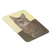 アビシニアン猫マグネット マグネット (右側)