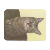 アビシニアン猫マグネット マグネット (横)