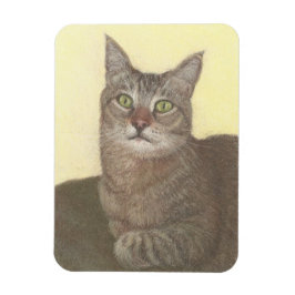 アビシニアン猫マグネット マグネット