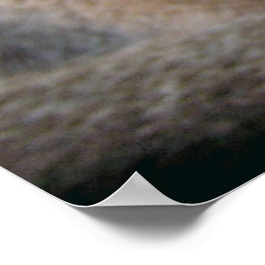 アビシニアン猫大きな青い瞳 ポスター (角)