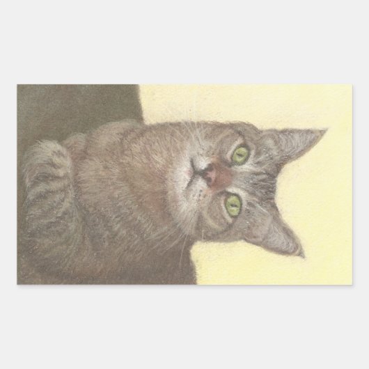 アビシニアン猫角型ステッカー 長方形シール (正面)