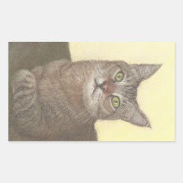 アビシニアン猫角型ステッカー 長方形シール