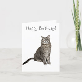 アビシニアン猫誕生日カード サンキューカード