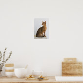 アビシニアン猫 ポスター (キッチン)