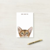 アビシニアン猫 |編集可能文字 |アップ情報 ポストイット (デスク上)