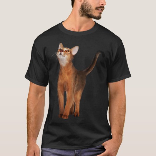 アビシニアン猫 Tシャツ (正面)