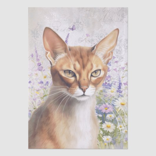 アビシニアン+キャット+水彩画 薄葉紙 (正面)