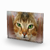 アビシニアン フォトブロック (右)