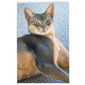 アビシニア猫のカレンダー(年をカスタマイズ) カレンダー (カバー)