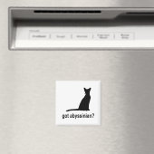 アビシ得ニアン? マグネット (インサイチュ (食洗機))