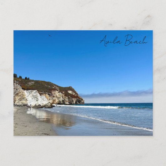 アビラビーチ カリフォルニア 海洋 崖 写真 ポストカード (正面)