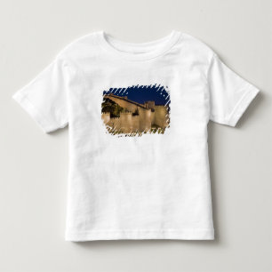 アビラ、カスティーリャ・イ・レオン州、スペイン トドラーTシャツ