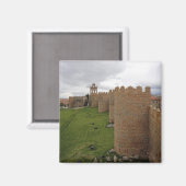 アビラ マグネット (正面/裏面)