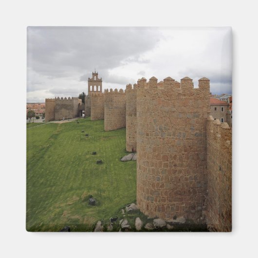 アビラ マグネット (正面)