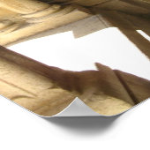 アビーアットフォンテーヌ ポスター (角)