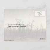 アビーインザオークウッドバイカスパル・デビッド・フリードリヒ ポストカード (裏面)