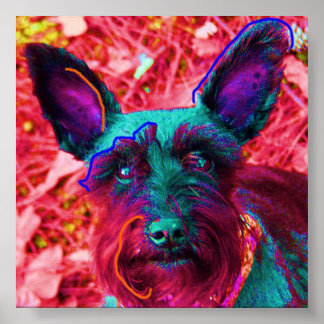 アビーザシュナウザー ポスター