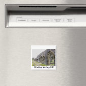 アビー遺跡 マグネット (インサイチュ (食洗機))