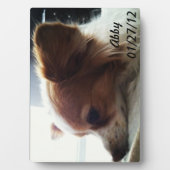 アビー2012 フォトプラーク (正面)