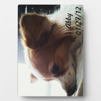 アビー2012 フォトプラーク