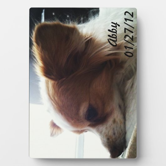 アビー2012 フォトプラーク (正面)