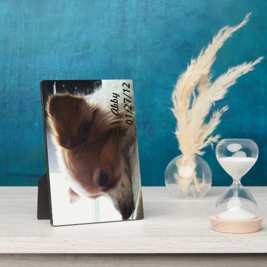 アビー2012 フォトプラーク (側面)