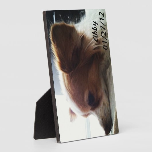 アビー2012 フォトプラーク (側面)