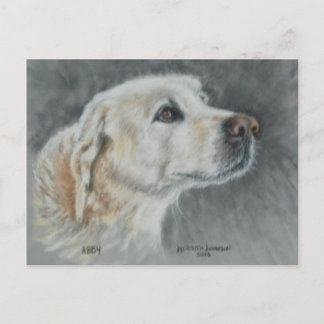 アビー、本当の友達だ。 ポストカード