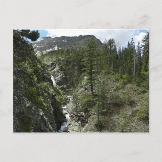 アピストキ秋とピークアットグレイシャナショナルパーク ポストカード (正面)