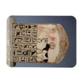 アピスブル色彩の鮮やかへステラ マグネット (横)