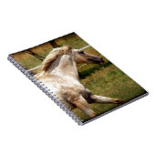 アピー ノートブック (右側)