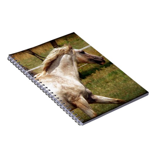 アピー ノートブック (右側)