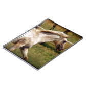 アピー ノートブック (左側)